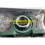 GỐI ĐỠ WTB GỐI ĐỠ WTB